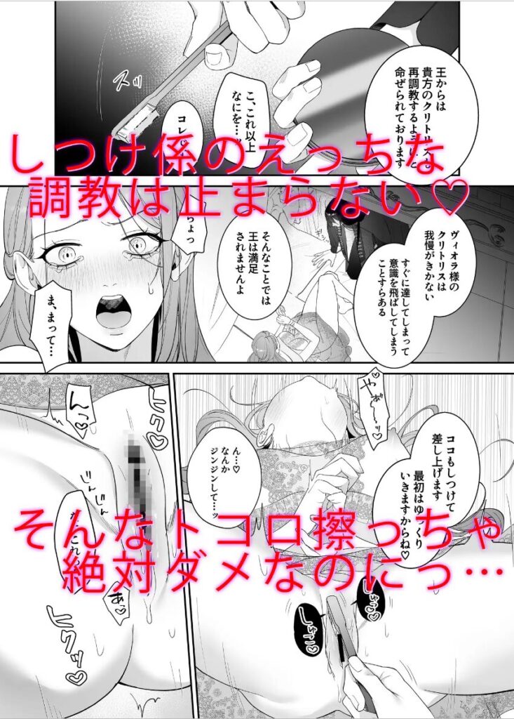 ドS躾け係と悪役令嬢2 ～再調教編～