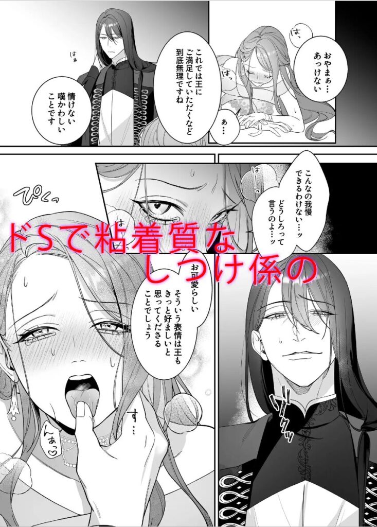 ドS躾け係と悪役令嬢2 ～再調教編～